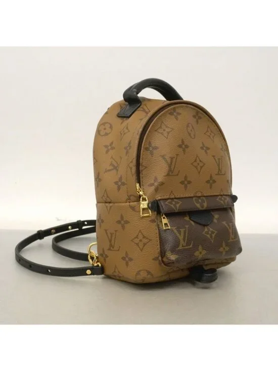 Louis Vuitton Backpack Monogram Reverse Palm Spring Mini Brown - Picture 2 of 10
